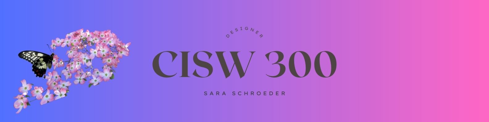 CISW 300 banner